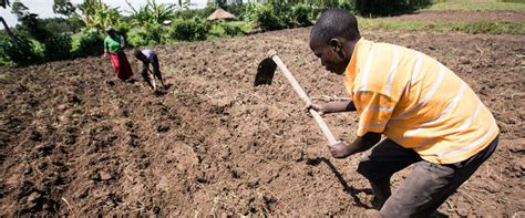 Prepared land for agriculture Figgerits Answer .